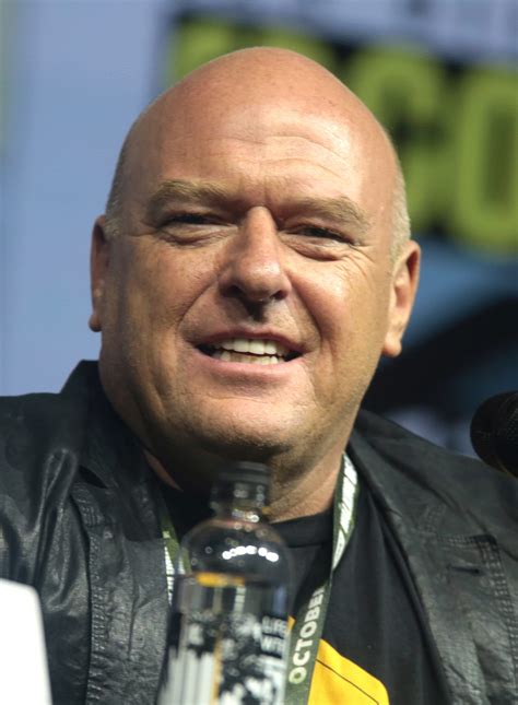 dean norris actor wikipedia|More.